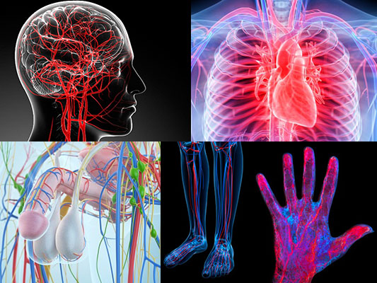 poor circulation effects