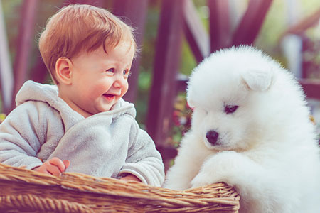 Feel Happy