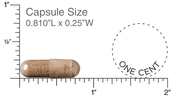 capsule size